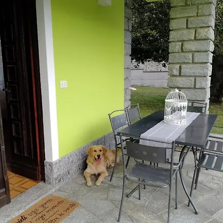 Il Faggio *