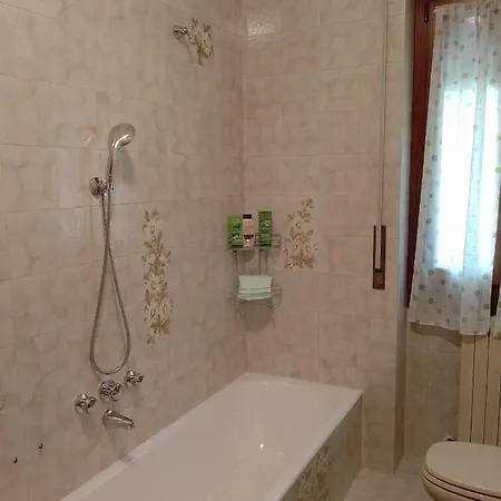 Il Faggio